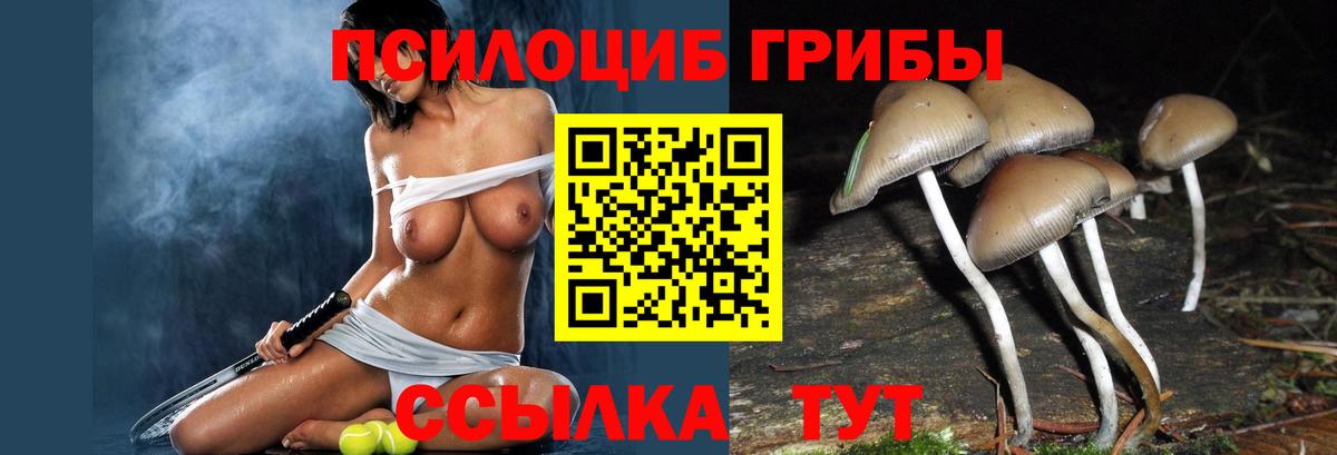 Псилоцибиновые грибы Magic Shrooms  Псилоцибиновые грибы Cubensis  Тихвин  Вход с VPN 